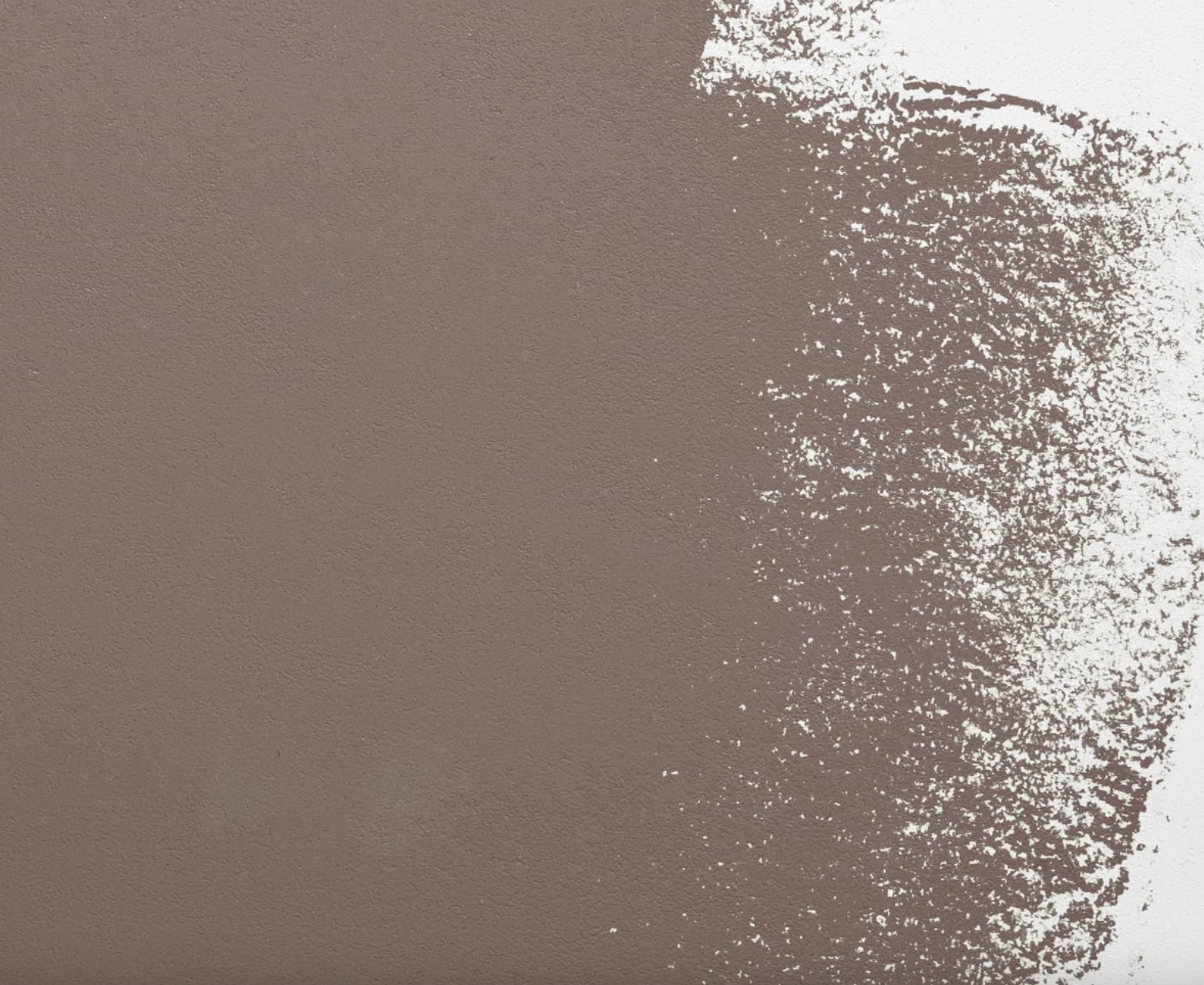 Tortora Don't Give a Shit